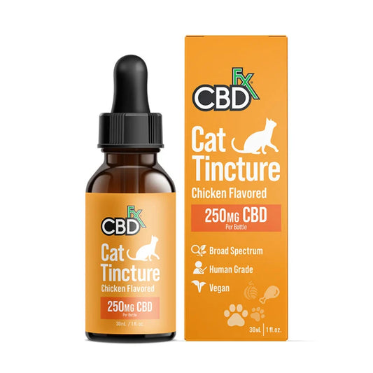 Chicken pet Tinture cat